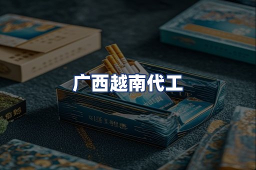 广西越南代工